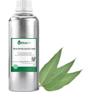 Ökaliptus Uçucu Yağı - Etheloil - 1 kg - %100 Saf ve Doğal Uçucu Yağ -Üretici Firma, Yüksek Kalite, Toptan Satış - Eucalyptus Essential Oil - Eucalyptus Globulus Labill.