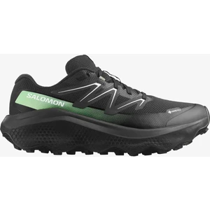 Ultra Flow 2 Gore-Tex Erkek Koşu Ayakkabısı Black L47981400