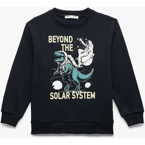 Uzun Kollu Bisiklet Yaka Dinozor Baskılı Şardonlu Sweatshirt