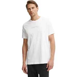 Calvin Klein Erkek Tshirt 000NM2748E41G