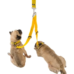 Köpek Tasması Çoklayıcı Çiftli Gezdirme Kayışı Premium Kalite Kopma Yapmaz Hafif Kolon Kumaş