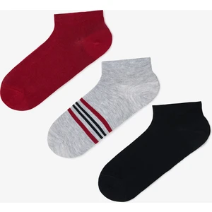 Erkek Flag Çizgili 3'lü Sneaker Çorap