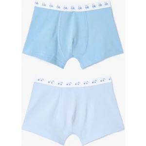 Erkek Çocuk Araba Desenli Normal Bel Pamuklu 2'li Boxer