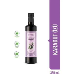 Evvahe Doğal Karadut Özü 350ml