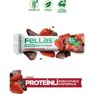 Vegan Protein Bar - Çilekli ve Kakaolu 40G x 12 Adet