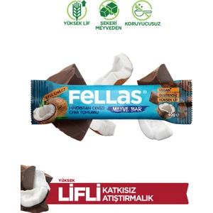 Meyve Bar - Hindistan Cevizi ve Chia 40 gr x 12 Adet