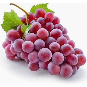 Tüplü Çekirdeksiz Pembe Crimson Seedless Üzüm Fidanı