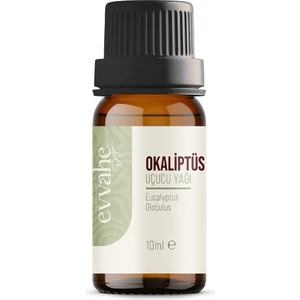 Evvahe Doğal Okaliptus Yağı 10 ml