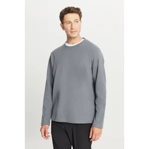 Pamuklu Standart Fit Normal Kesim Bisiklet Yaka Sweatshirt