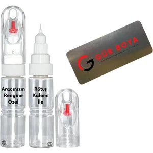 Tesla Model Y Juniper Quicksilver Rötuş Boyası