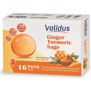 Ginger + Turmeric + Sage + Honey 16 Pastille