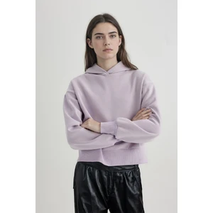 Boxy Fit Kapüşonlu Kalın Basic Düz Sweatshirt B8570AX24SP