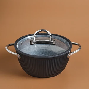 Biogranit Lopus Tencere 22 cm