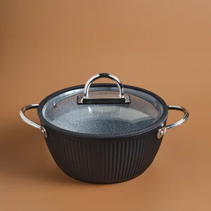 Biogranit Lopus Tencere 24 cm
