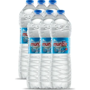 Munzur Su Efsane (pH 8, 45) (X12) 1, 5 Lt