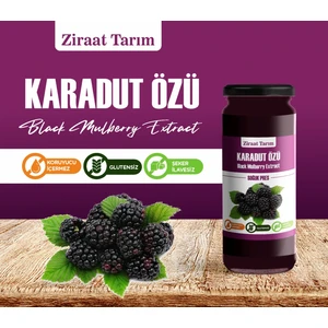 Ziraat Tarım Karadut Özü 620 gr