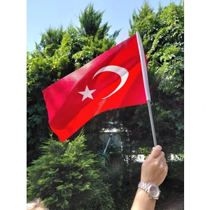 250 ADET Türk Bayrağı 30x45cm Sopalı–80 G/m²|Pigment Baskı,Dış Mekan