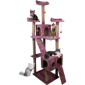 Cat City Yeni Rezidans Kedi Oyun Evi ve Tırmalaması