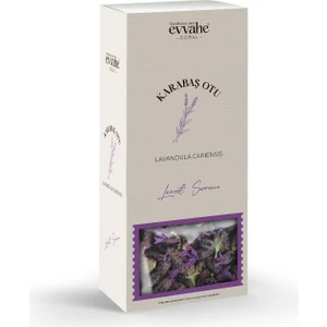 KARABAŞ OTU (50 GRAM)