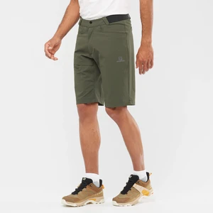 Wayfarer Shorts W Erkek Yeşil Şort LC1762000