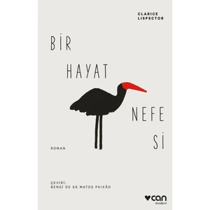 Bir Hayat Nefesi - Clarice Lispector