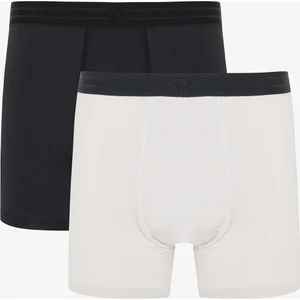 Erkek Mesh Açık Gri 2li Boxer