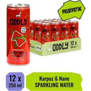 Mınty Melon Karpuz Nane Kutu 250 ml x 12 Adet