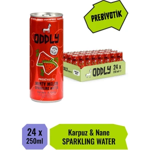 Mınty Melon Karpuz Nane Kutu 250 ml x 24 Adet