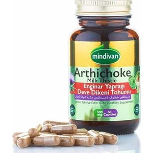 Enginar Ekstreli  Devedikeni Tohumu Ekstreli 60 Kapsül 500 Mg