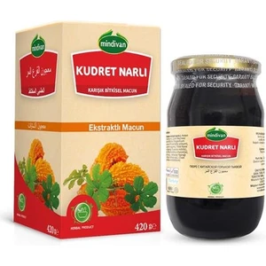Kudret Narlı Damla Sakızlı Macun 450 gr