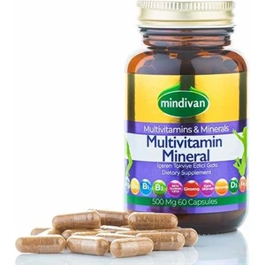 Multivitamin Mineral 60 Kapsül