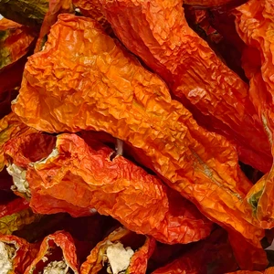 Sivri Biber Kurusu Ankara 1 Dizi Yeni Mahsul