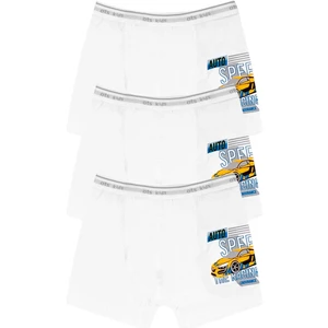 Erkek Çocuk Boxer 3'lü (%96 Pamuk - %4 Elastan)