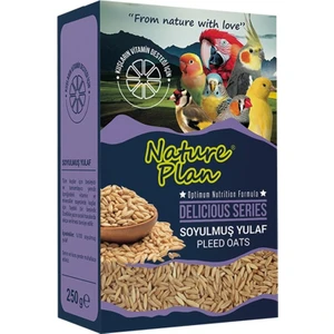 Ayıklanmış Yulaf 250GR