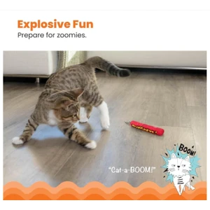 Petstages Dinamit Şeklinde Catnipli Kedi Oyuncağı