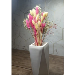 Kuru Çiçek  Kuş Otu  (Palaris Çiçeği) , Cipso Aranjman Süslük, Vazoluk, Hediyelik