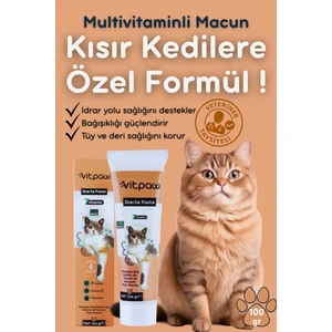 Sterile Paste 100 Gr.(KISIRLAŞTIRILMIŞ KISIR KEDİLER IÇİN MULTİVİTAMİN VE MİNARELLİ MALT MACUN) Kedi Vitamini