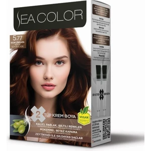 Sea Color Mükemmel Beyaz Kapama 2X50 ml Tüp Boya 2 Adet Oksidan