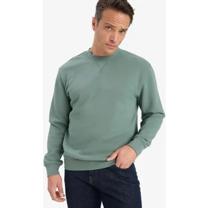 %100 Pamuk Regular Fit Bisiklet Yaka Sweatshirt