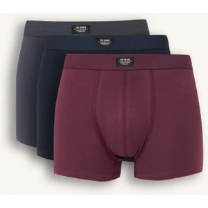 Regular Fit 3'lü Boxer