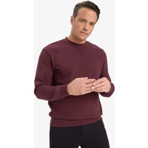 %100 Pamuk Regular Fit Bisiklet Yaka Sweatshirt E8339AX25AU