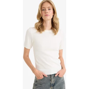 Regular Fit Bisiklet Yaka Kısa Kollu Triko Kazak E6810AX25AU