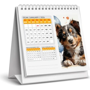 2026 Köpek Color Masa Takvimi 16x15 cm