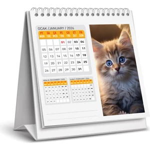 2026 Kedi Masa Takvimi