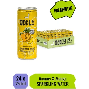 Pıneapple Shıne Ananas Mango Kutu 250 ml x 24 Adet