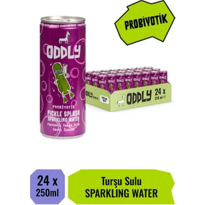 Pıckle Splash Turşu Suyu Kutu 250 ml x 24 Adet