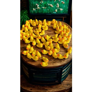 12'li  Mini Ördek Set