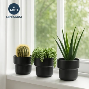 Dekoratif Plastik Saksı Siyah 3 Adet 11 cm SEH-4620