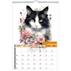 Naturel Basım 2026 Kedi Color Duvar Takvimi