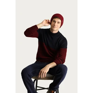 Bisiklet Yaka Slim Fit Dar Kesim Desenli Triko Kazak